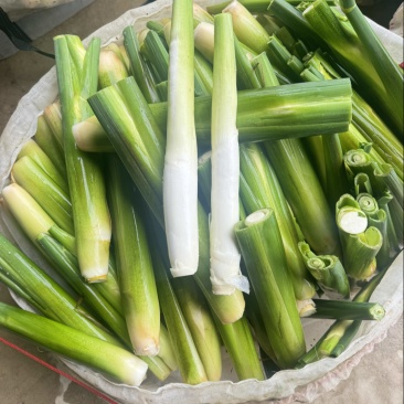 茭白