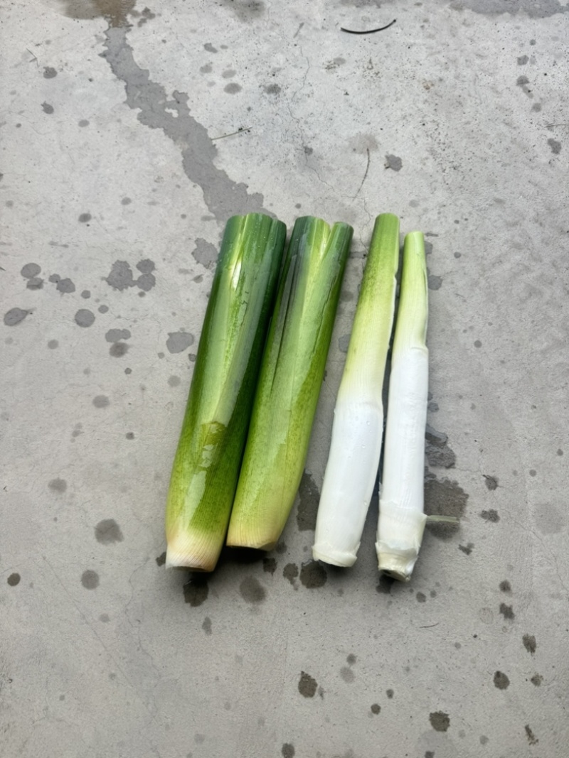 茭白