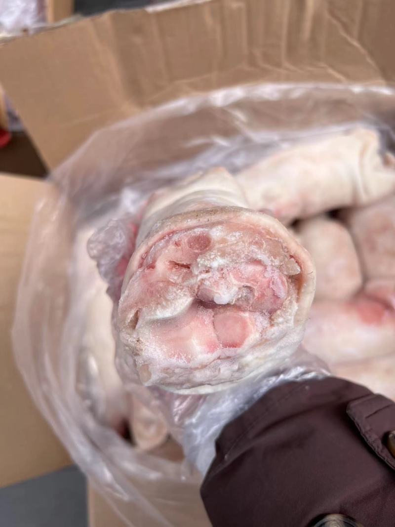 龙大母猪蹄