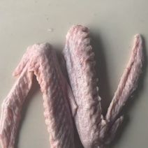 鹅翅膀厂家直发，规格齐全品质保证，欢迎来电洽谈更优惠！