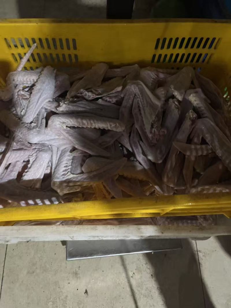 鹅翅膀厂家直发，规格齐全品质保证，欢迎来电洽谈更优惠！