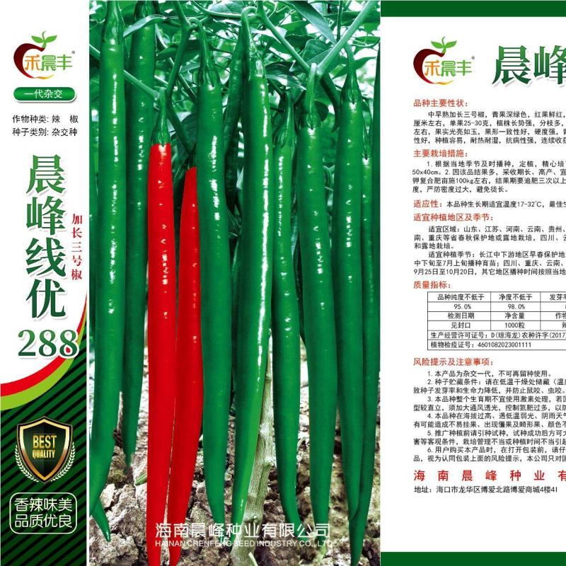 3号线椒种子，高产抗病顺直光滑，品质保障