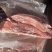 五号肉猪里脊肉规格：10kg