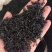 长期批发广西黑蚂蚁泡酒料拟黑多刺黑蚂蚁滋补泡酒料量大从优