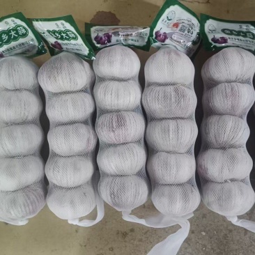 金乡大蒜，产地一手货源厂家直发，量大优惠可以视频看货