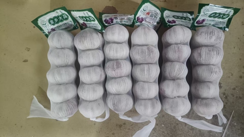 金乡大蒜，产地一手货源厂家直发，量大优惠可以视频看货