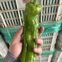 301大量有货