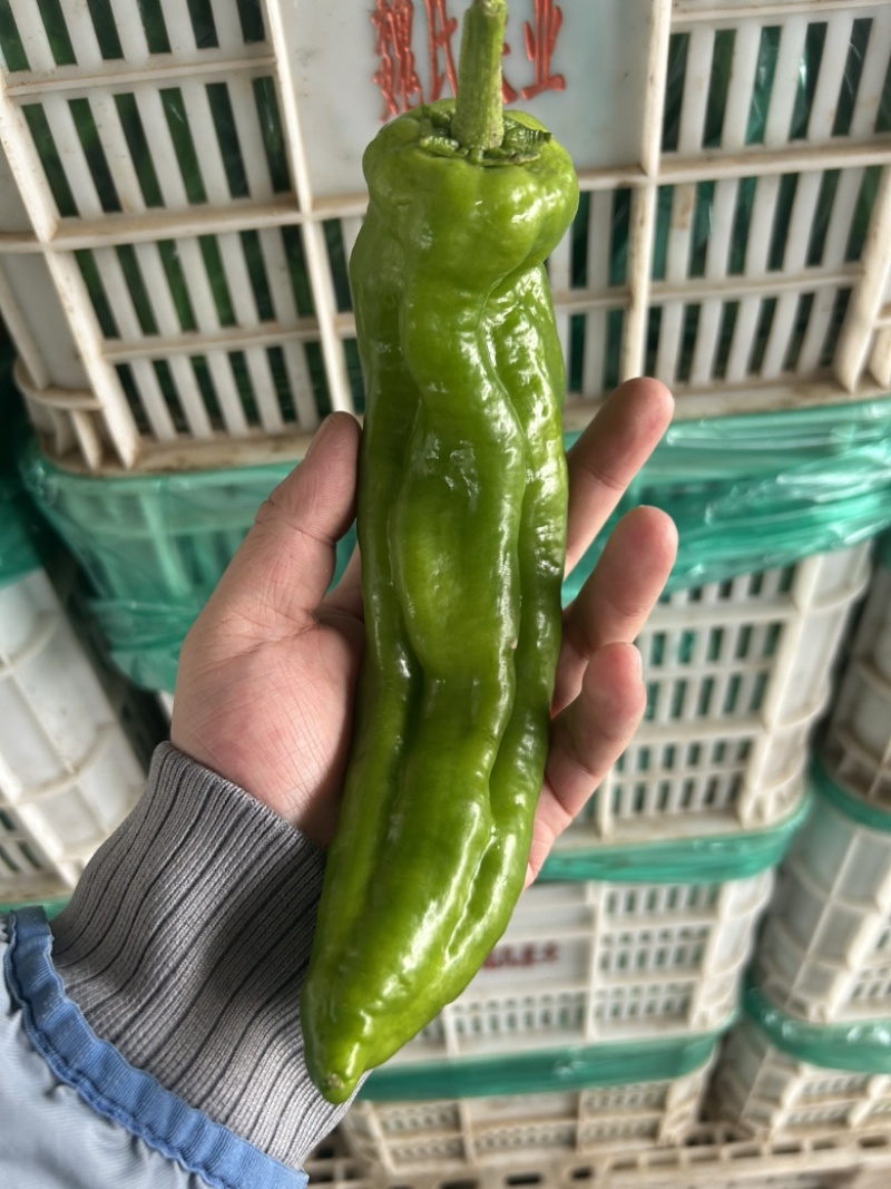 301大量有货