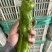 301大量有货