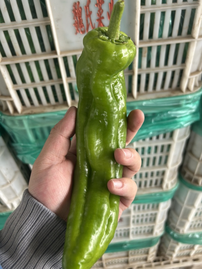 301大量有货