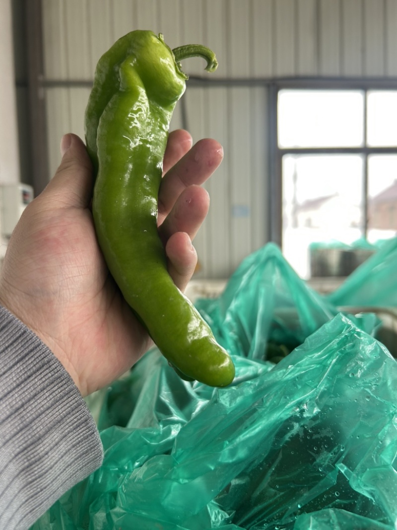 301大量有货