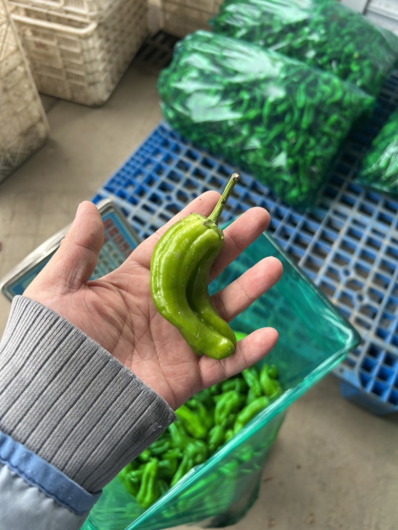 301大量有货