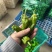 301大量有货