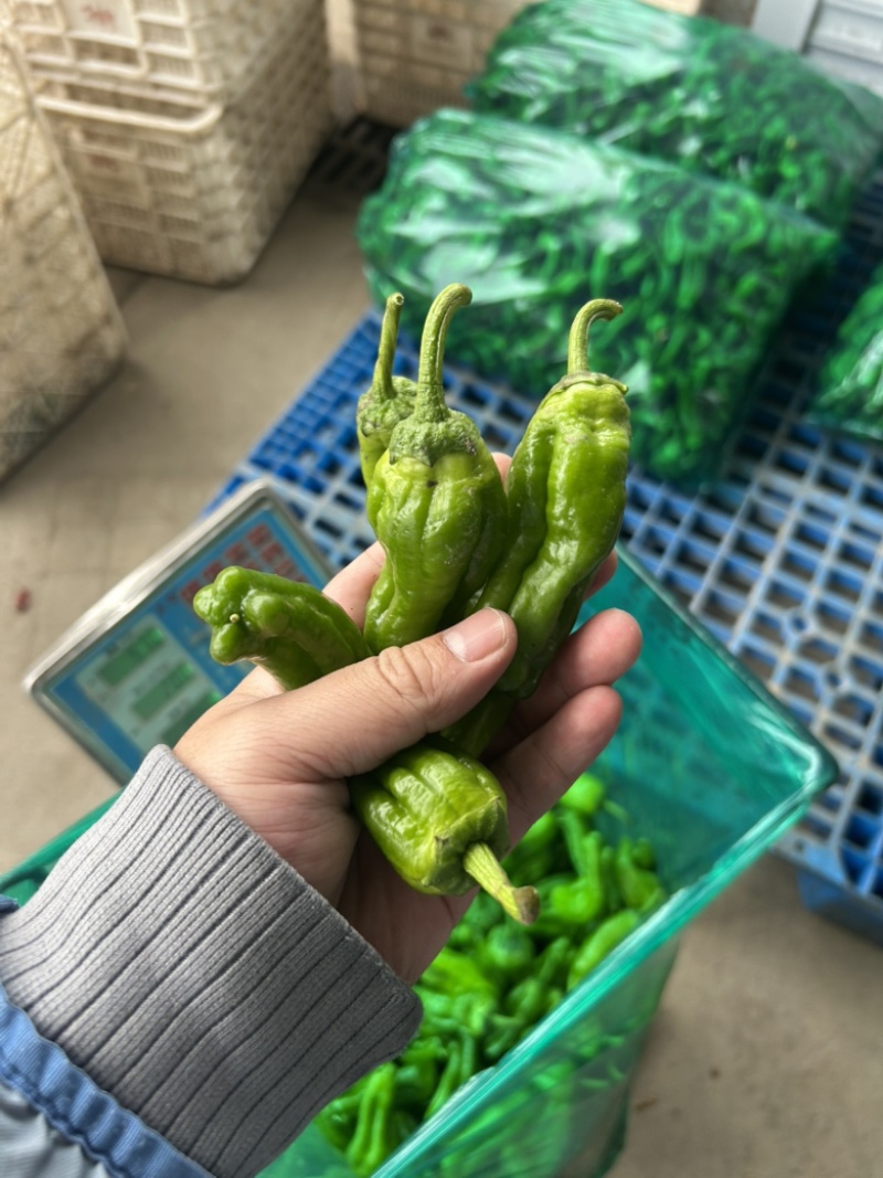 301大量有货