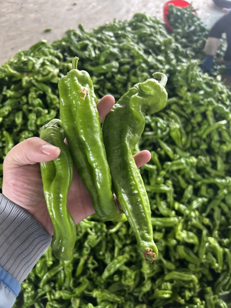 301大量有货