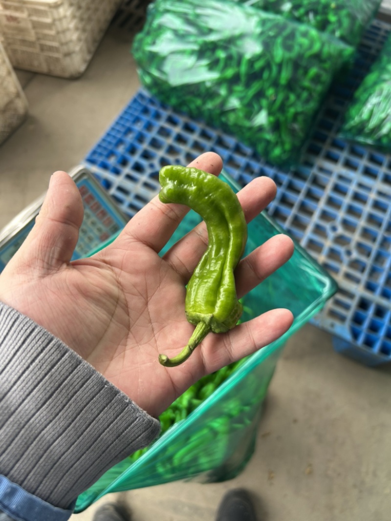 301大量有货
