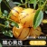 七彩云南石林正宗人生果特大果黄心当季水果5斤/10斤整箱