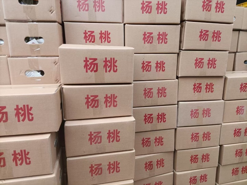 树熟香蜜杨桃产地直发