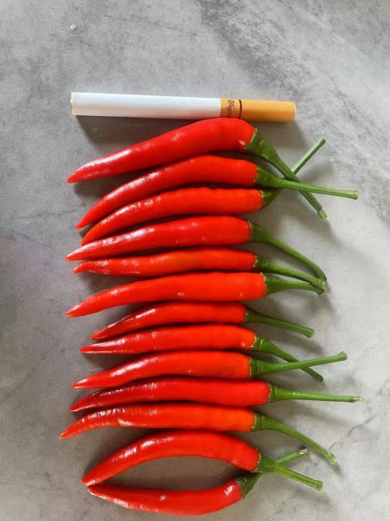 红小米一手货源大量供应市场电商质量保证