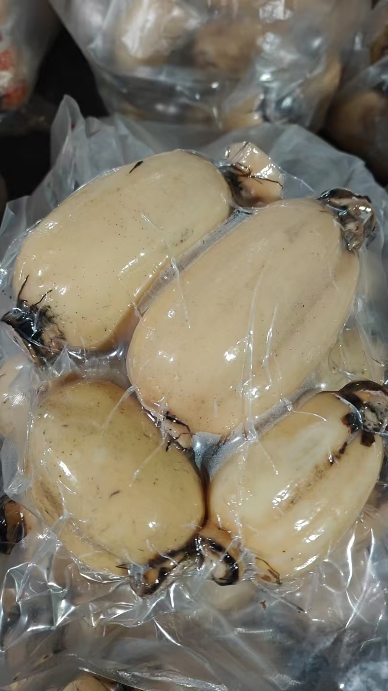 精品白莲藕真空包装，新鲜供应**各大商超，电商！