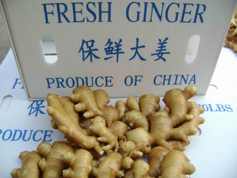 山东大黄姜精品生姜外贸货市场货海量货源全国发货欢迎考察