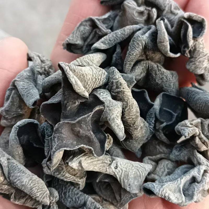 东北黑木耳/秋木耳/电商/地摊/展销会