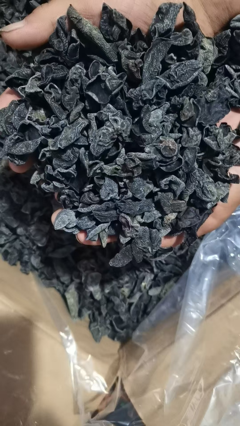 东北黑木耳/秋木耳/电商/地摊/展销会