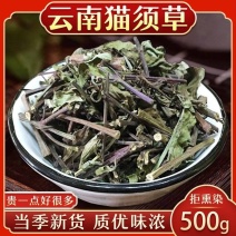 云南西双版纳猫须草新鲜当季肾茶肾精茶清凉泡水