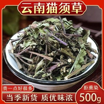 云南西双版纳猫须草新鲜当季肾茶肾精茶清凉泡水