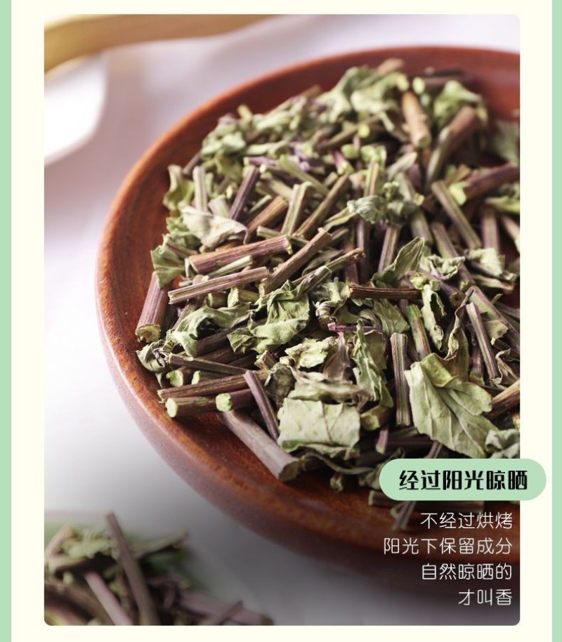 云南西双版纳猫须草新鲜当季肾茶肾精茶清凉泡水