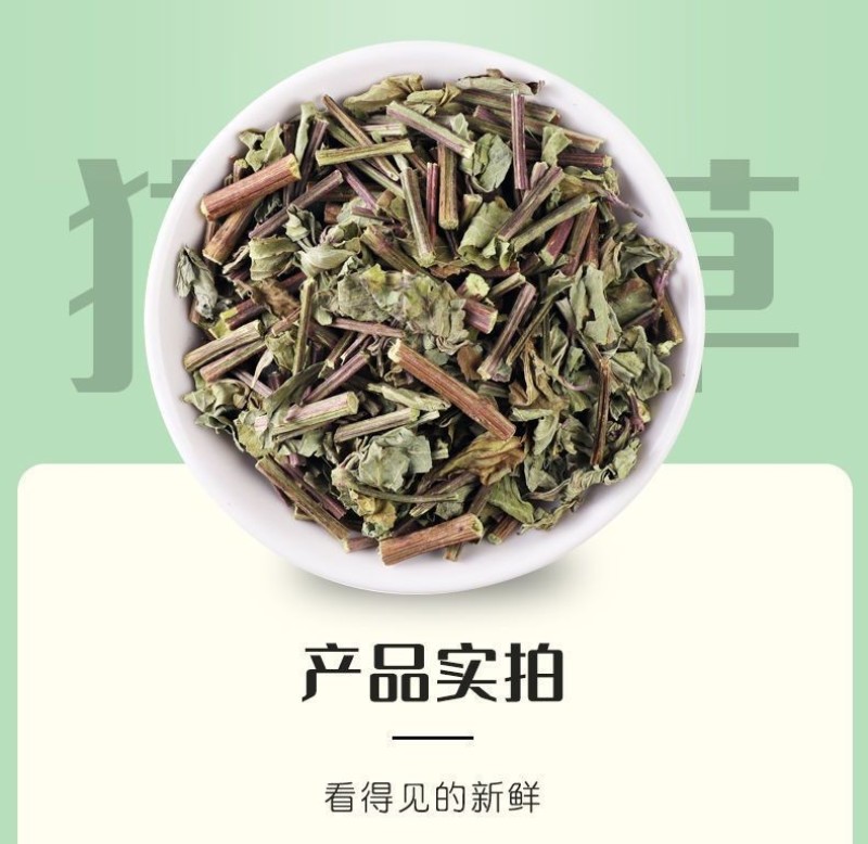 云南西双版纳猫须草新鲜当季肾茶肾精茶清凉泡水