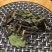 云南西双版纳猫须草新鲜当季肾茶肾精茶清凉泡水