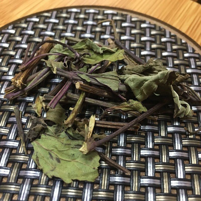 云南西双版纳猫须草新鲜当季肾茶肾精茶清凉泡水
