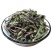 云南西双版纳猫须草新鲜当季肾茶肾精茶清凉泡水