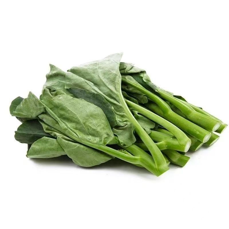 新鲜菜苔现摘现卖