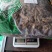 野生干夏枯草中药材500g白毛夏枯球泡茶水正品夏菇草