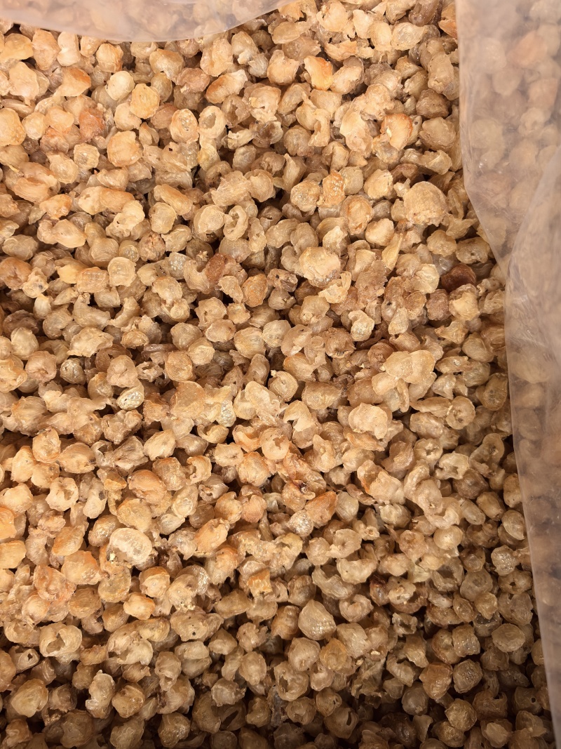 广西博白石硖桂圆肉泡茶龙眼肉特产干货广西博白新货桂圆肉干无核