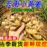 正宗云南黄小黄姜生姜新鲜老姜农家嫩姜可发云聚物流