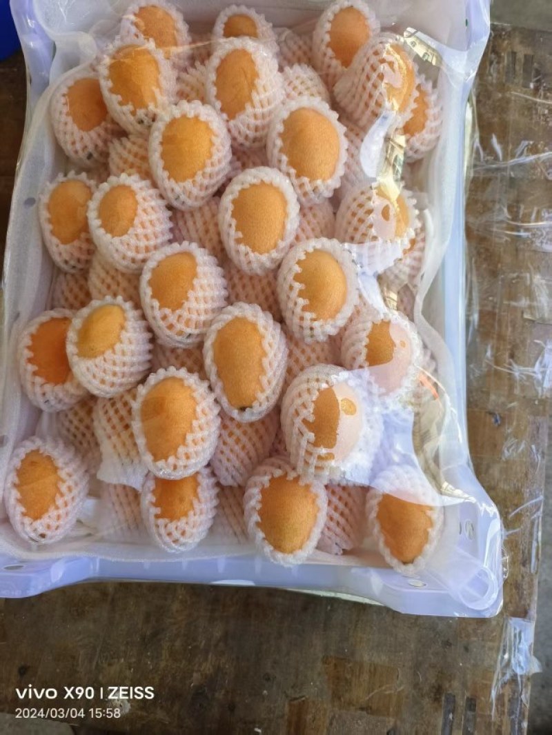枇杷