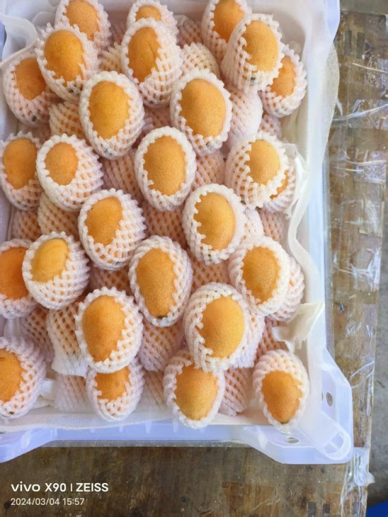 枇杷
