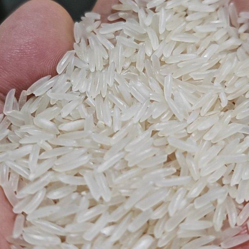 煲仔饭专用米，高档炒饭专用米