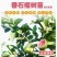 西瓜芭乐番石榴嫁接苗吗