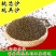 决明子泡茶决明子茶正品炒熟决明子茶优选罐装花草决明配菊花