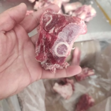 满肉羊棒骨