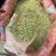 批发小茴香国产特绿小茴香量大价优长期供应