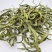 大叶化石草云南野生化石草猫须草黄金茶肾草肾精草茶腰只草