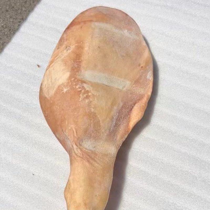 带蹄猪腿一个10斤左右
