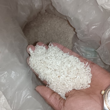 富晒粮食大米。***的没打农药没施化肥。全是用农家肥。