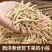 西洋参粗须8年西洋参腿粗须花旗参东北人参长白山花旗参泡酒