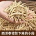 西洋参粗须8年西洋参腿粗须花旗参东北人参长白山花旗参泡酒